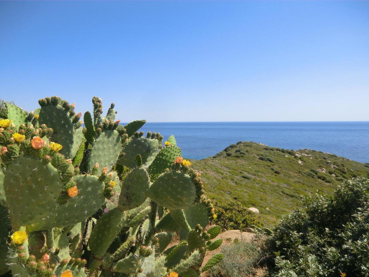 Sailing Apartment Cagliari Ngoại thất bức ảnh